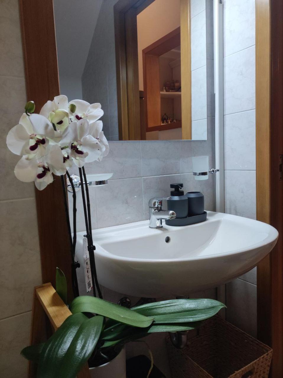 Casa Vacanza Gallipoli Centro Zewnętrze zdjęcie